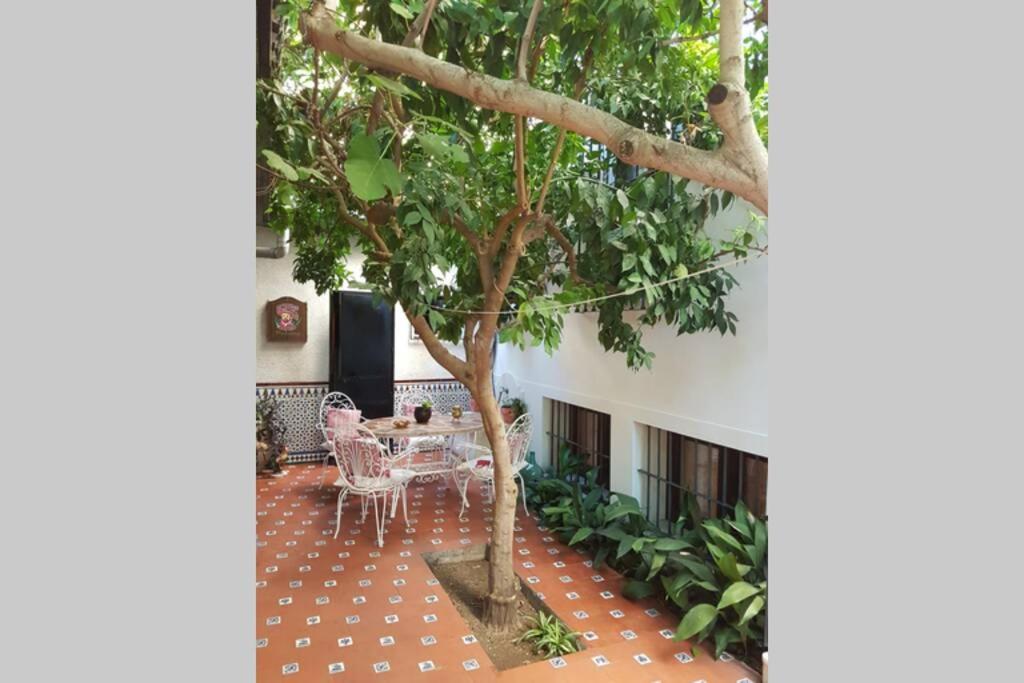 Casa En Con Hermoso Jardin, Parking Calle Vakantiehuis