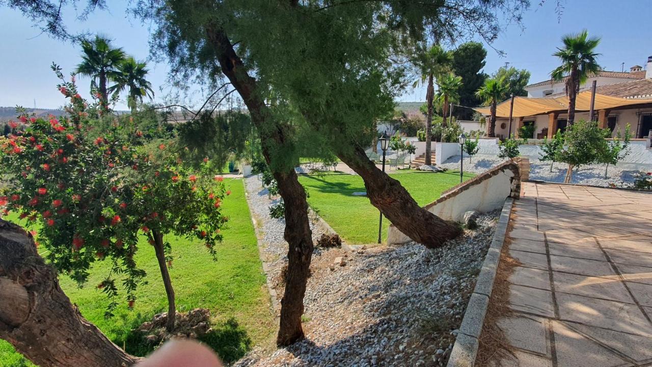El Eden De Granada Granada