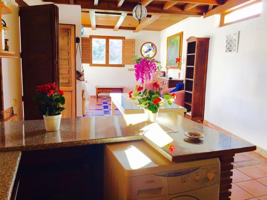 Apartment La Rochina