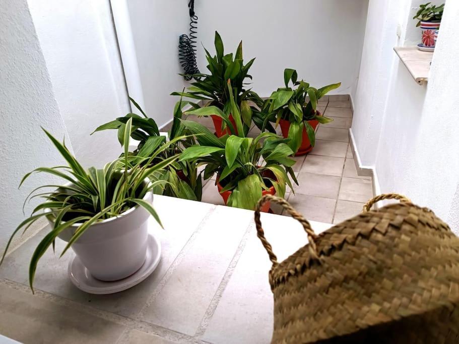 Apartment Alberzana - Barrio Albaicin -