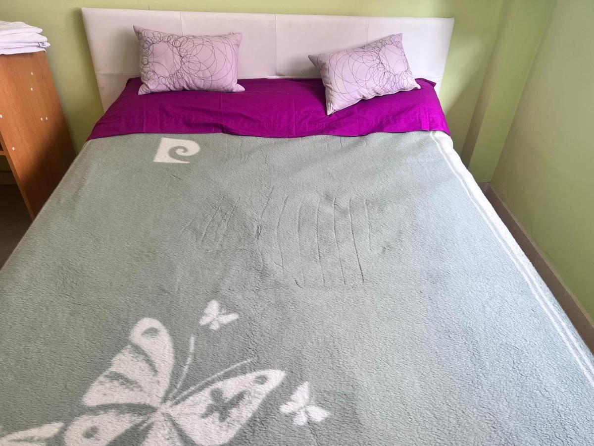 Homestay Casa Ideal Familias Y Grupos Con Balcones Exterior Soleada Patios Cerca Alhambra, Sierra Nevada, Rio Genil, Lancha Del Genil, Parque Llano Y Reloj Del Sol Con Barbacoas, Campo De Futbol, Circuito Gimnasia Granada