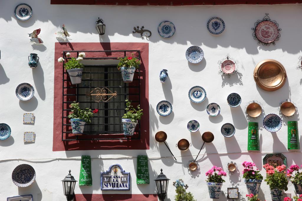 Polaroid Siesta Hostal