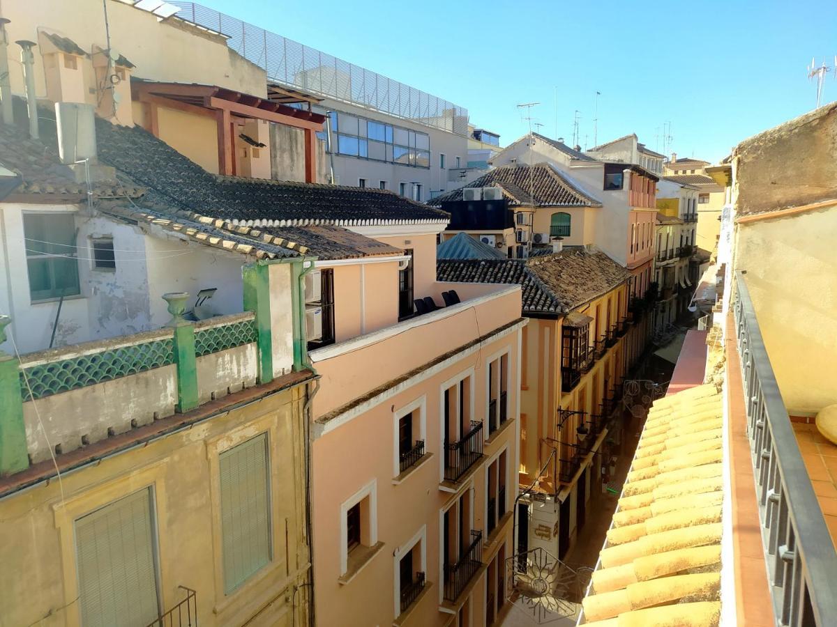 El Olivo Pensión 3*