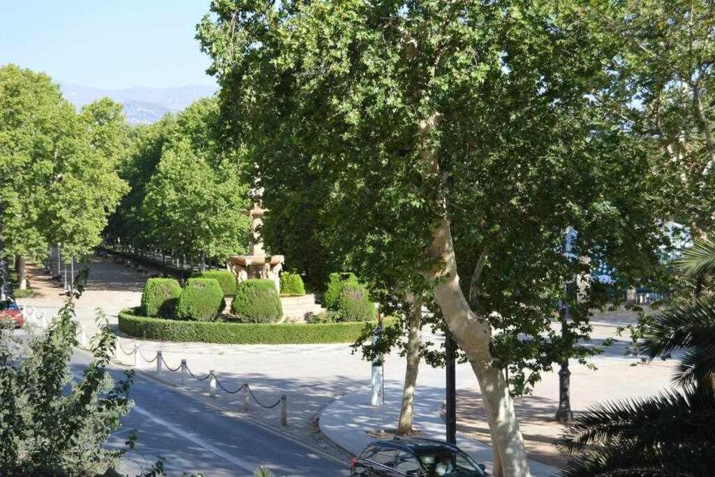 Apartamento Lirio De Agua Centro Apartment Granada