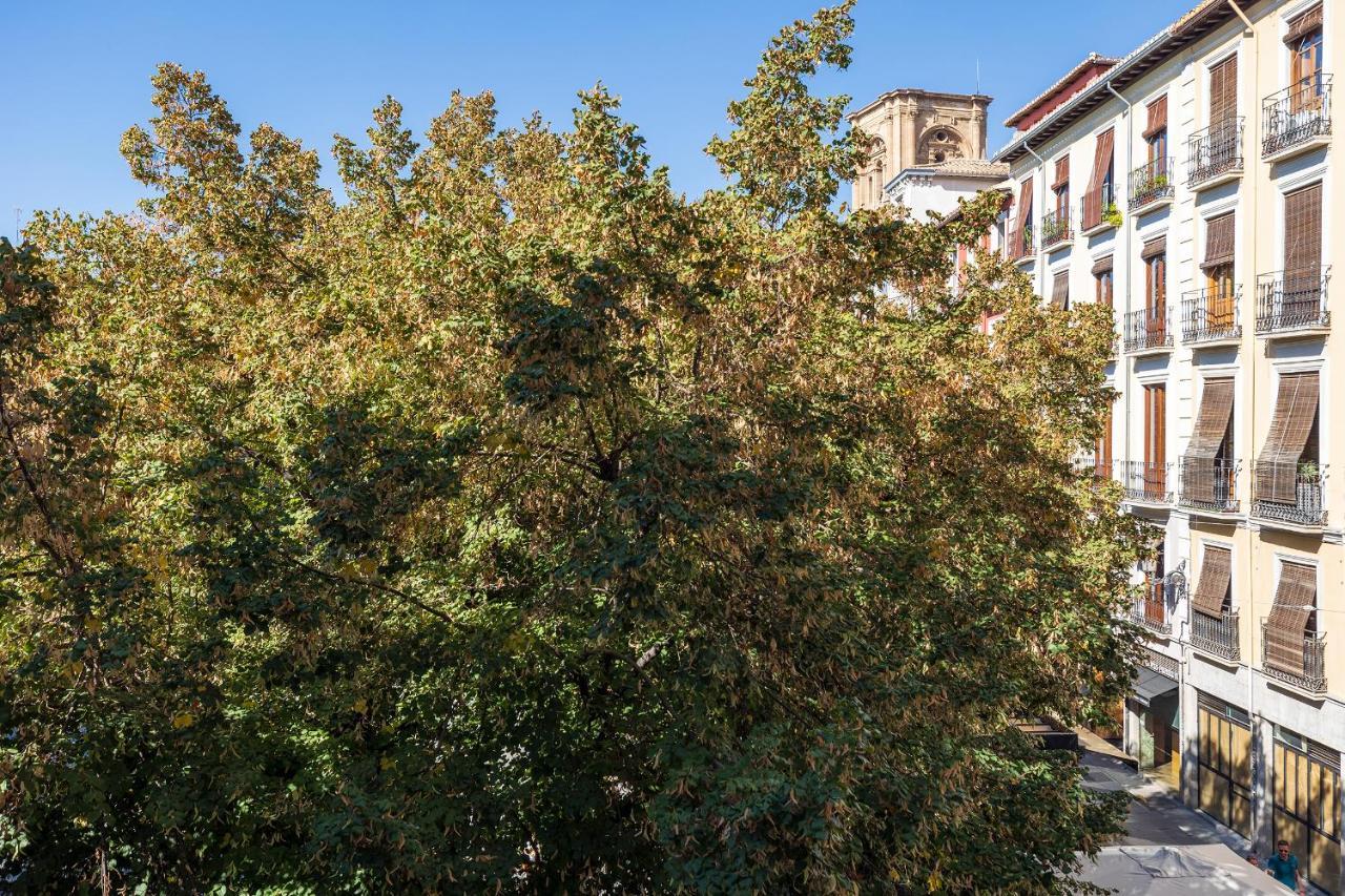 Dreaming Bib Rambla - Free Parking Apartment