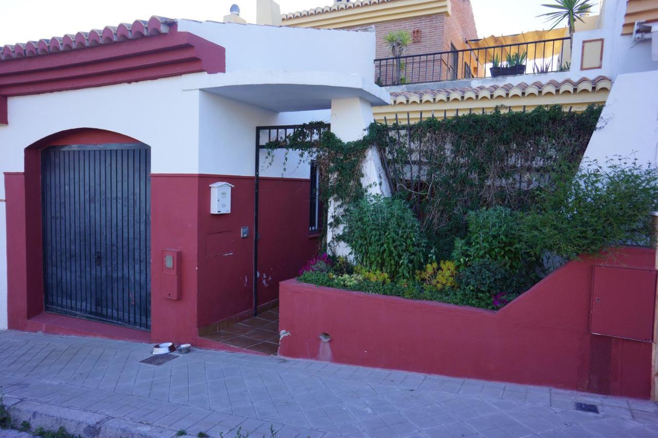 Comfortable Single Bluing Bed & Breakfast *