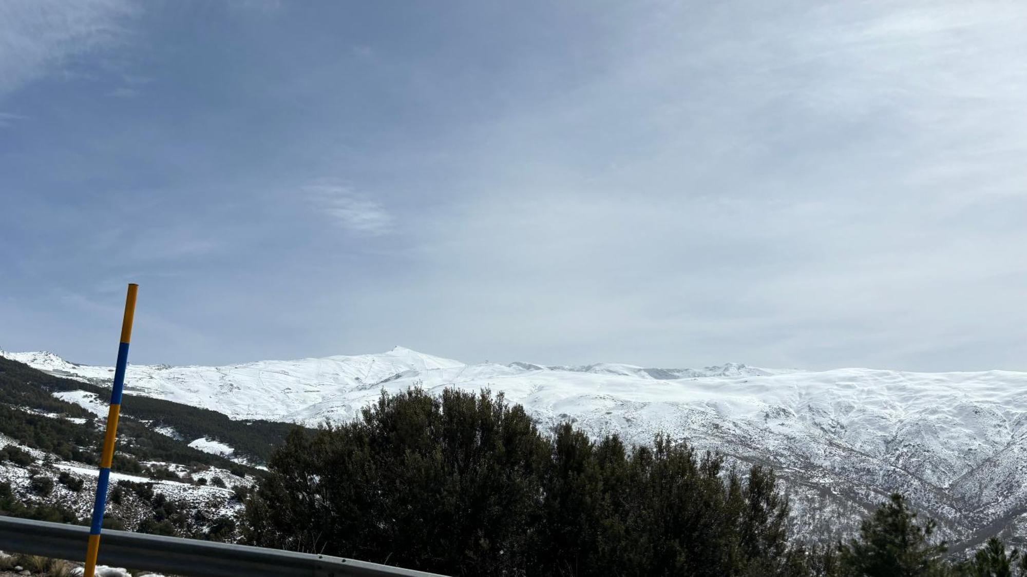 Biznaga Nevada Apartamento Granada
