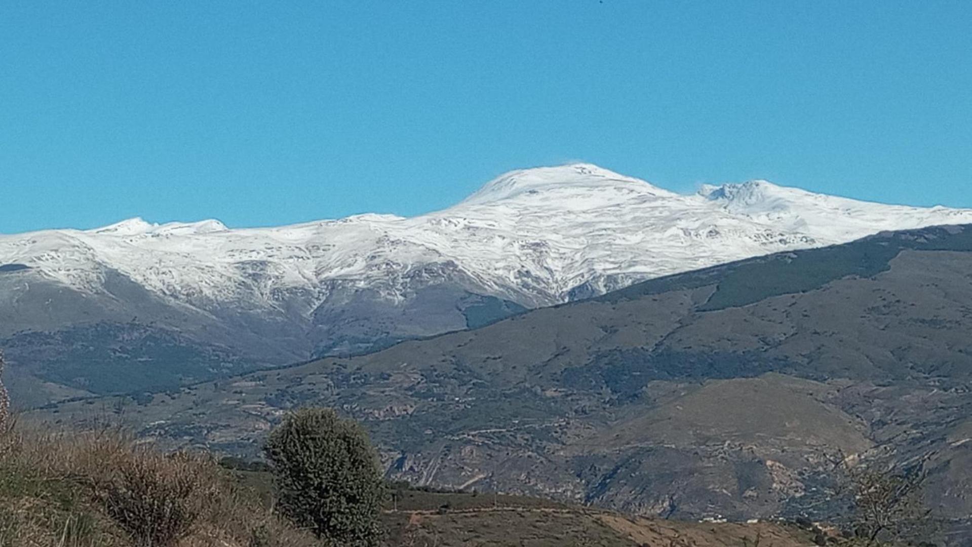 Cortijo Pilares