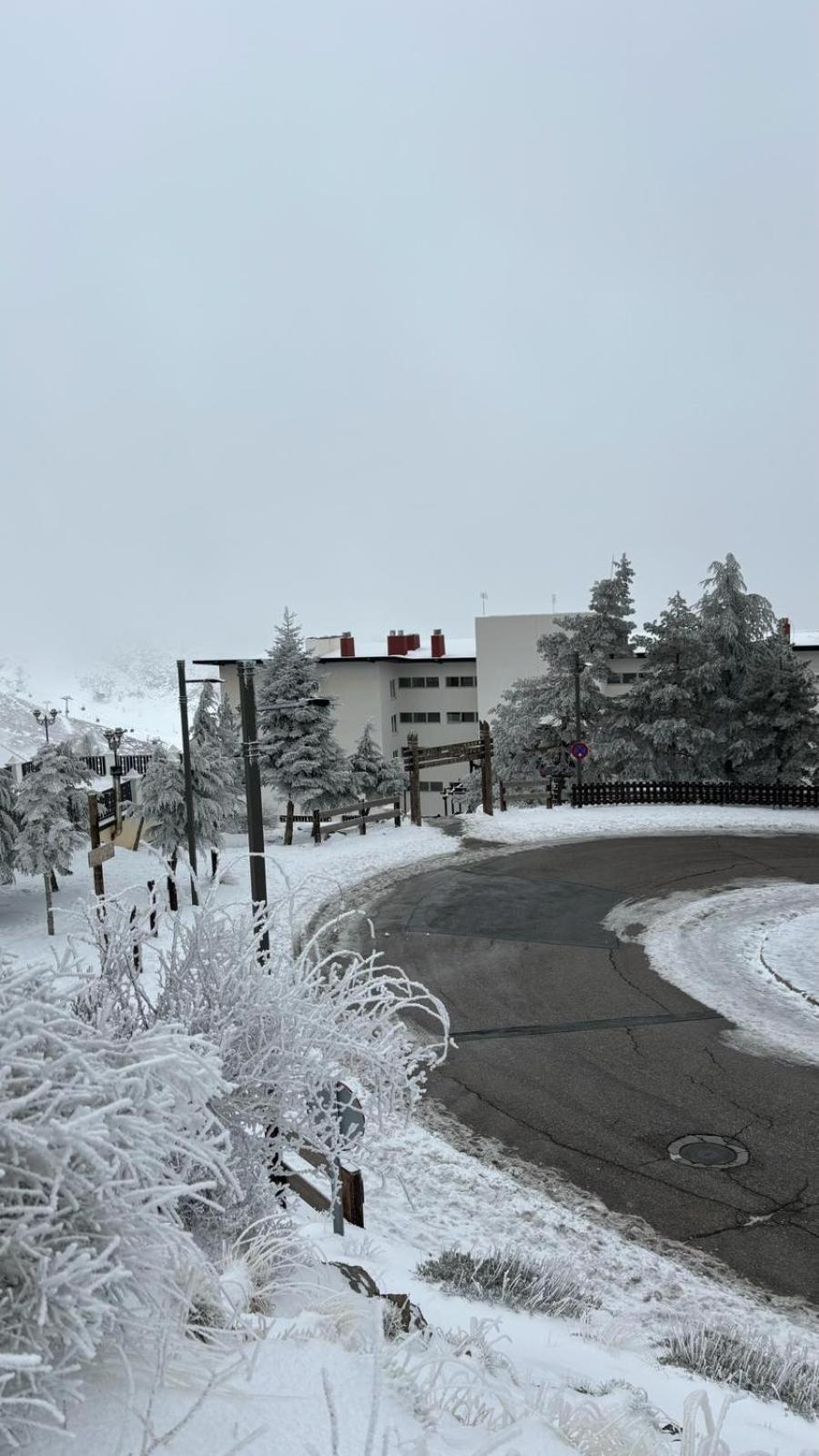 Apartment Biznaga Nevada