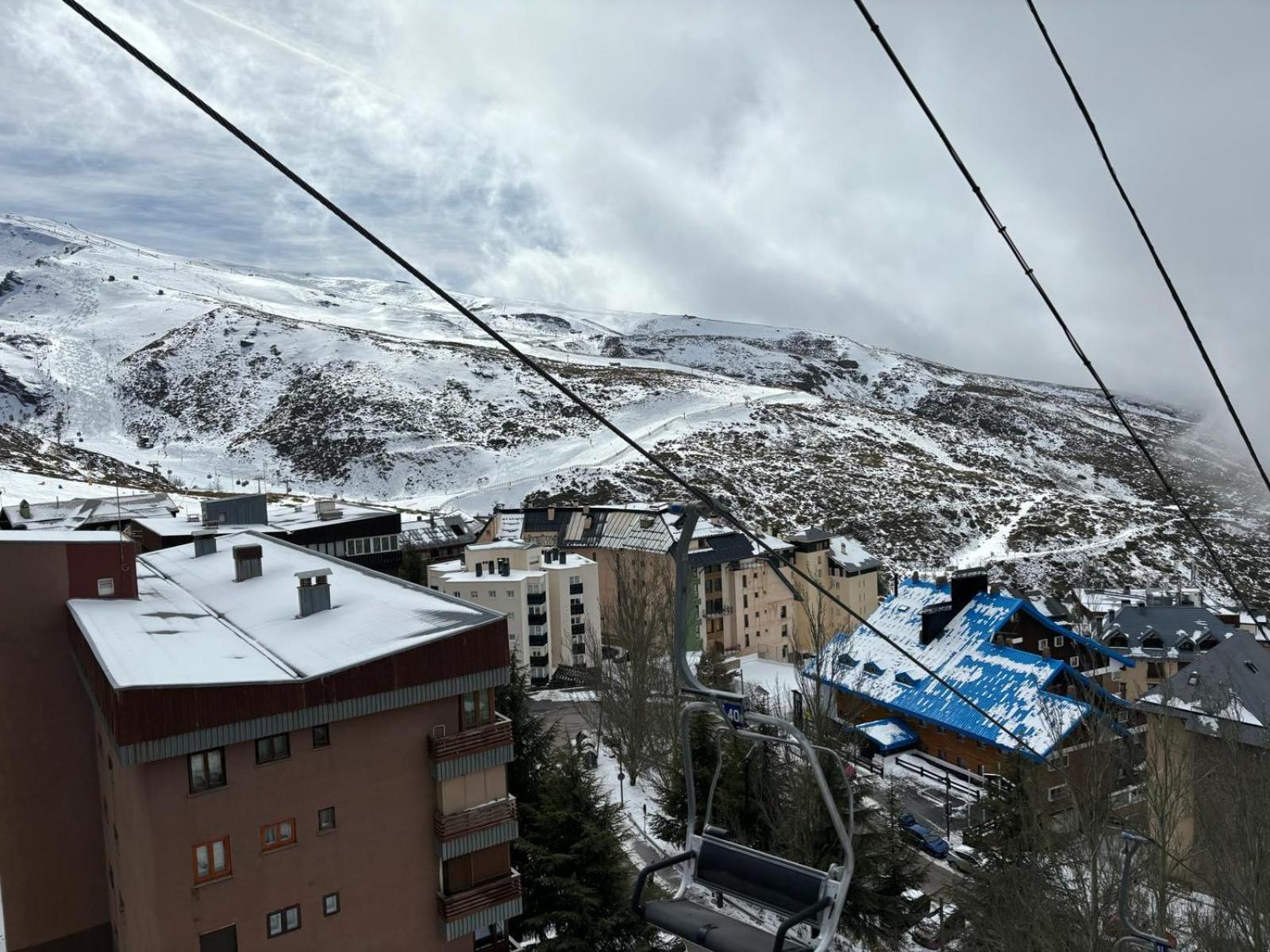 Biznaga Nevada