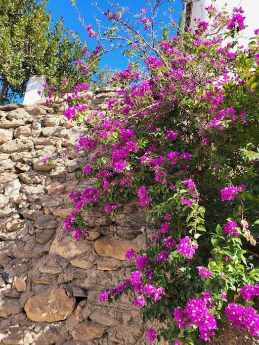 Casa Blanca, Acequias, Lecrin Valley, Holiday home