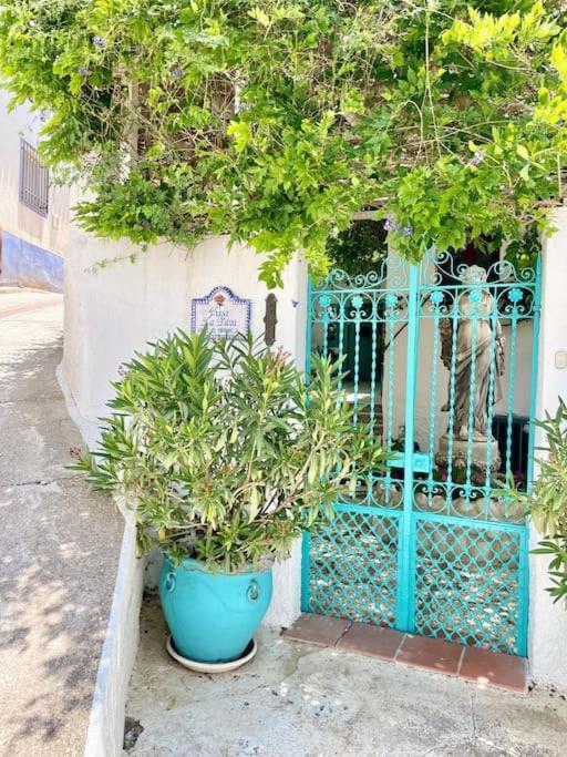 Holiday home Casa Blanca, Acequias, Lecrin Valley, Granada