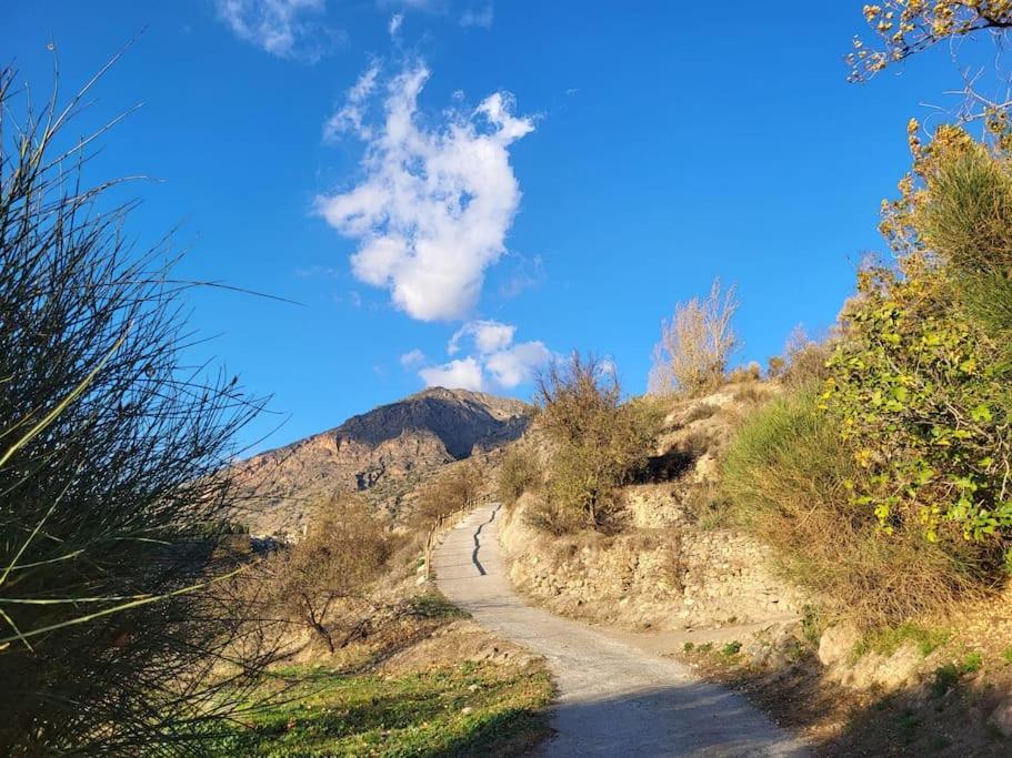 Holiday home Casa Blanca, Acequias, Lecrin Valley, Granada