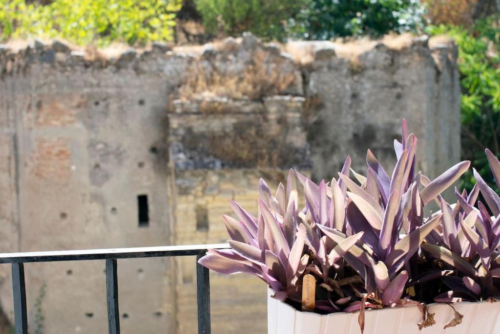 Căn hộ Alhambra Enamora 1 -paseo De Tristes View 1 -c