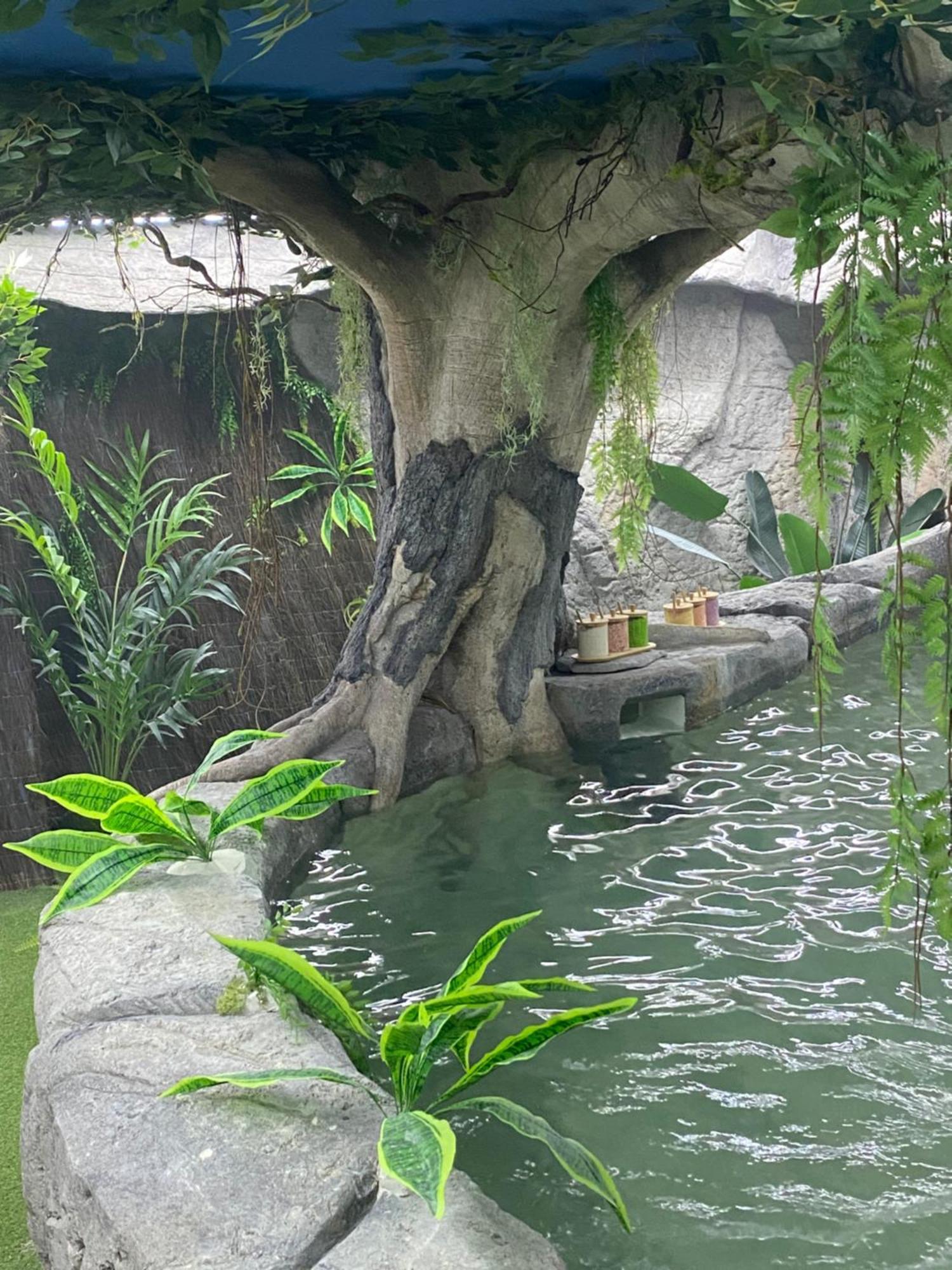 Futurotel Space Garden *