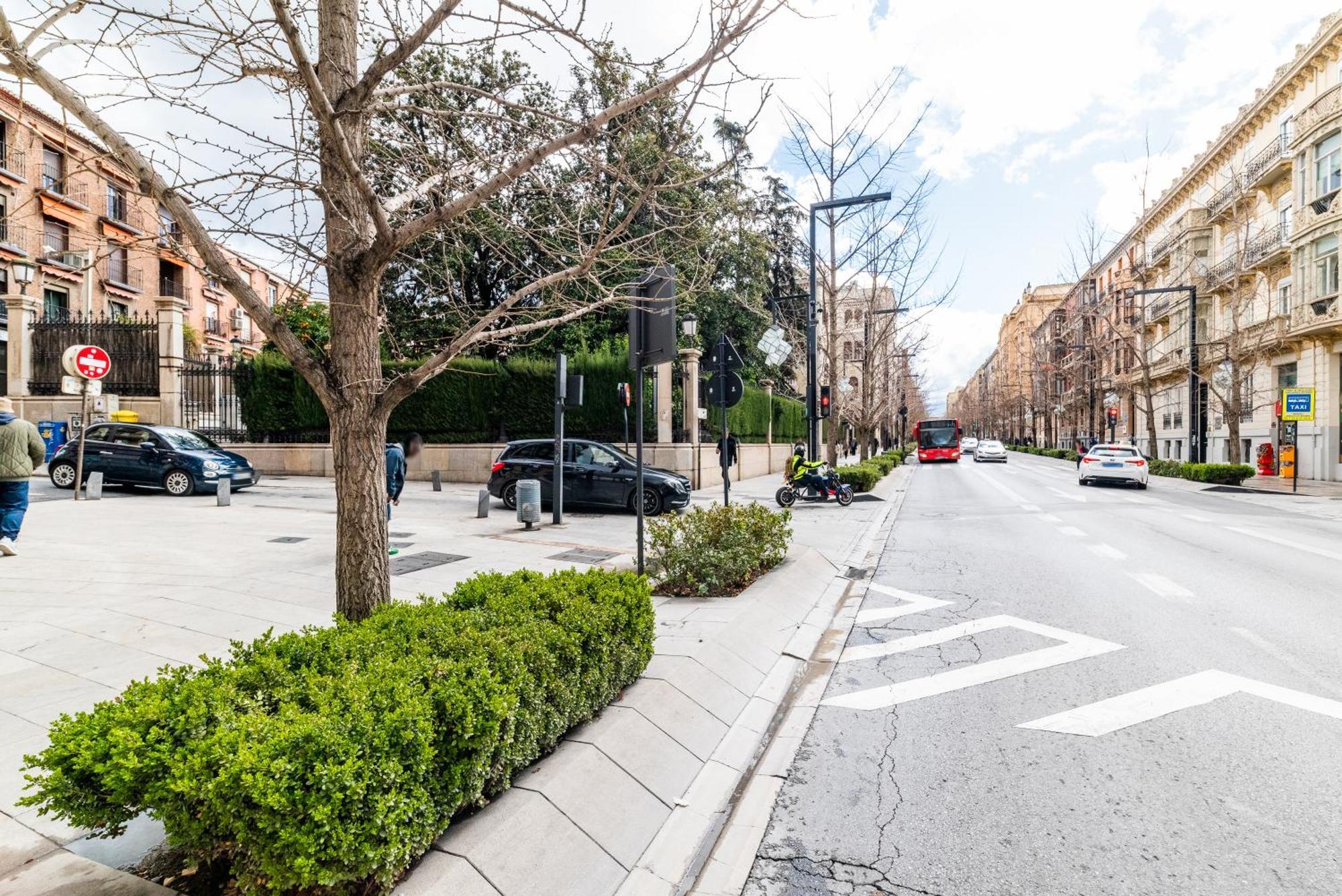 En El Corazon De Junto A Catedral Y Arco Elvira Apartment