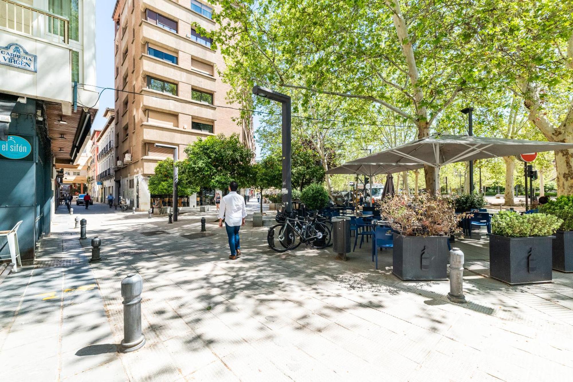 Encantador Piso Pleno Centro A Pie De Semana Santa Y Cerca De La Alhambra Apartment *