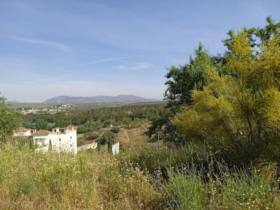Apartment Pantano Del Cubillas