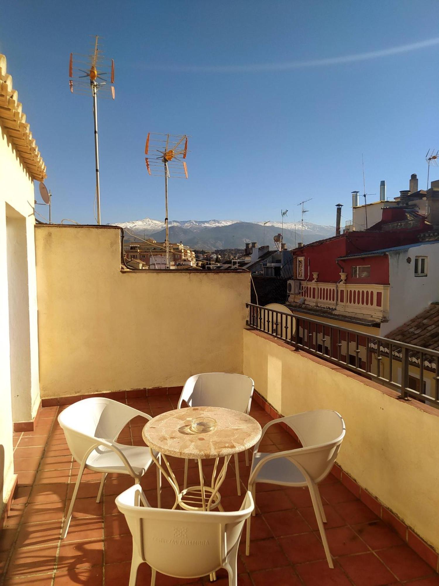 El Olivo Granada