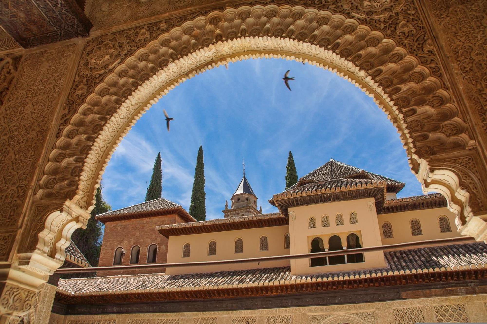 Dali's Sanctuary In - Private Parking Free Apartamento Granada