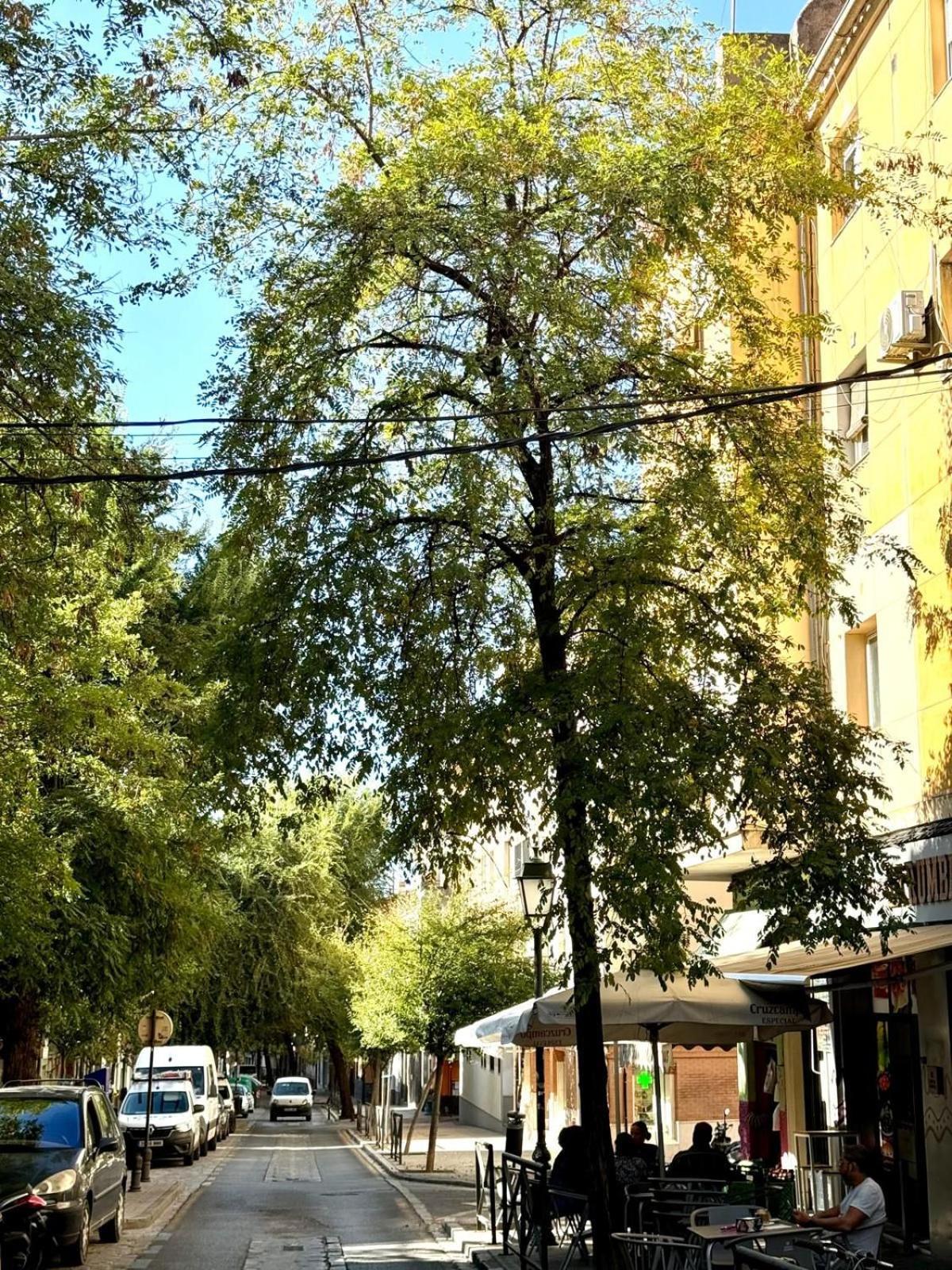 El Rincon Del Arte Centro Granada