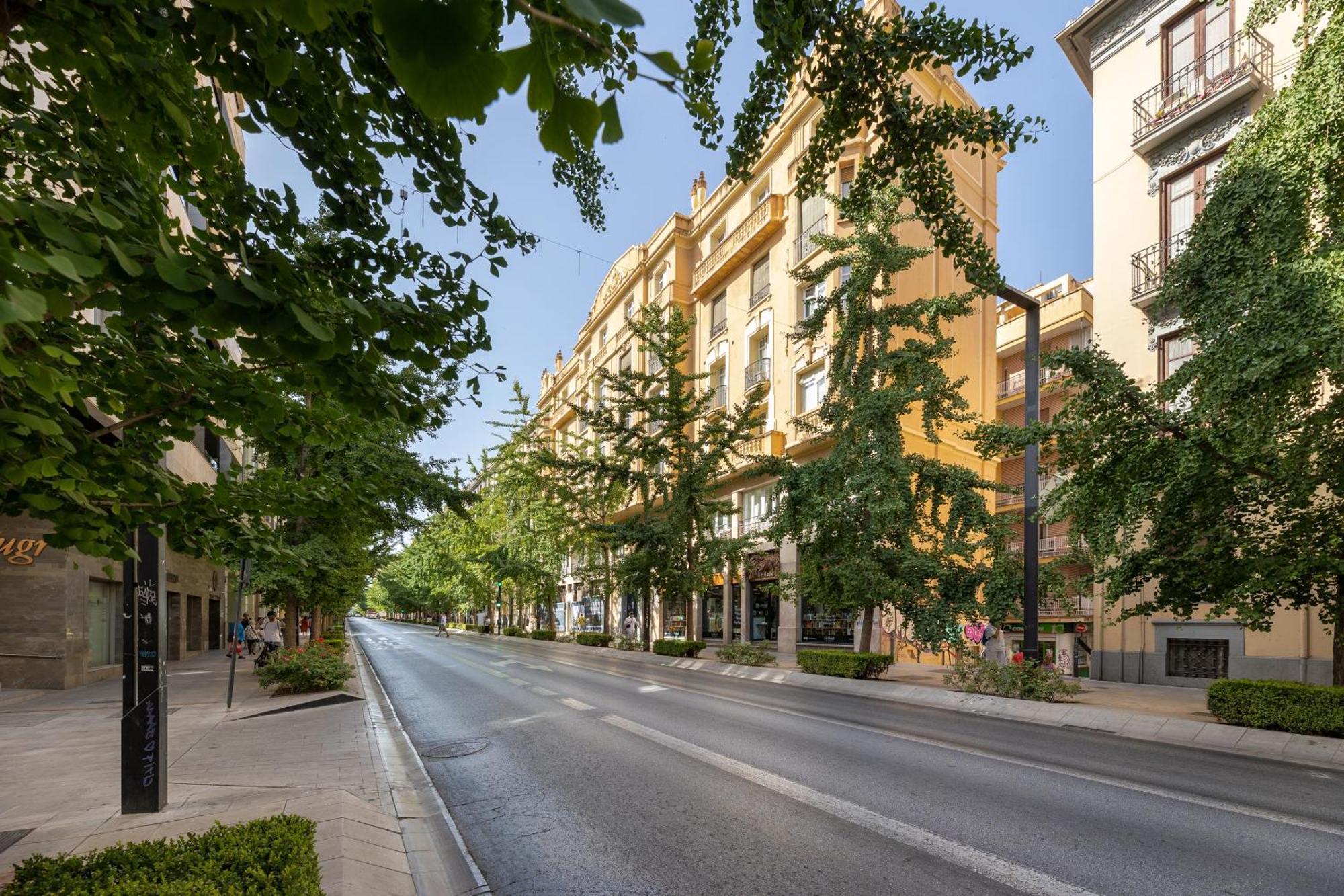 Luxury Via De Colon Apartment *