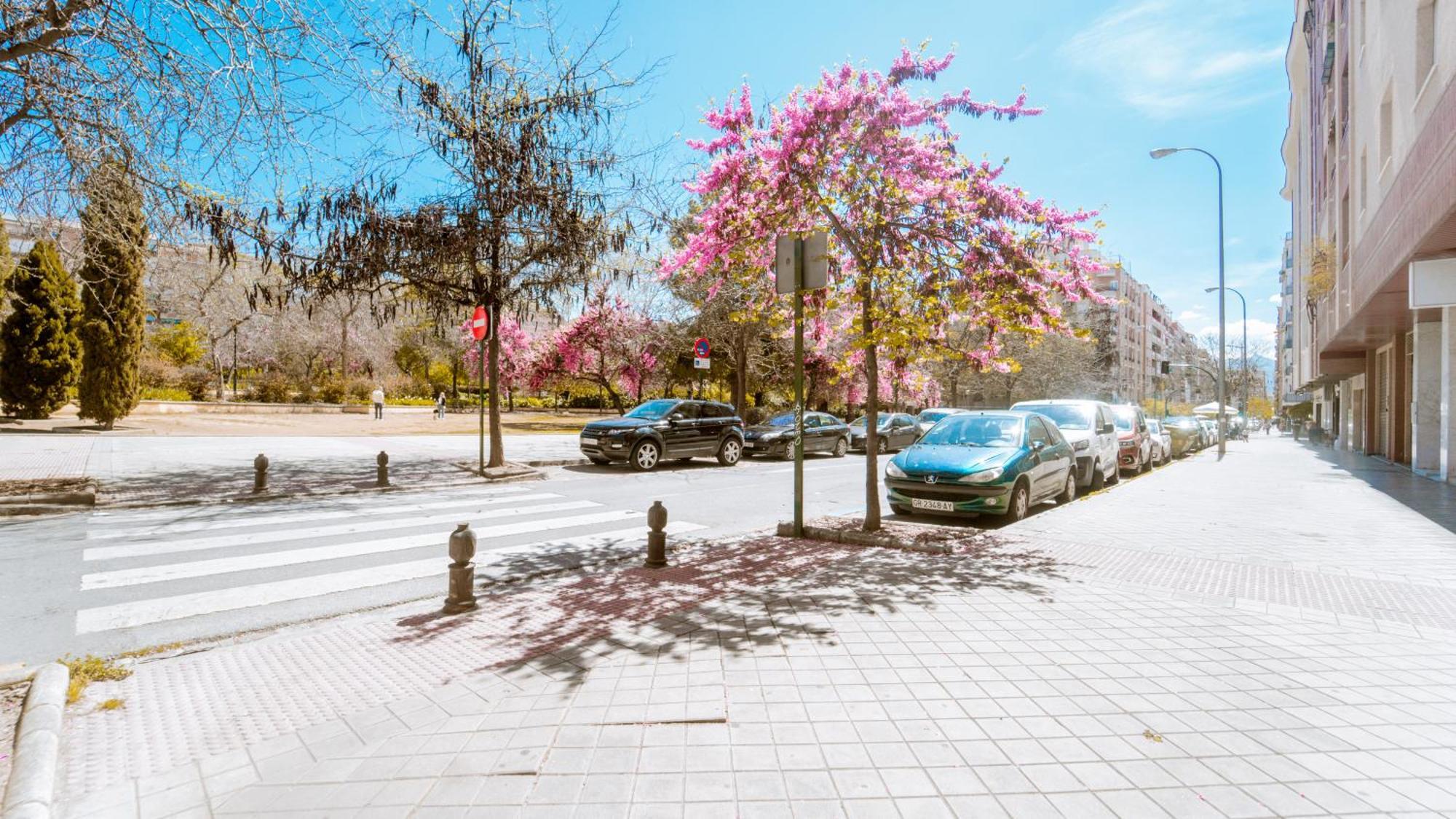 Apartment Dreamstay Hipercor - Moderno *