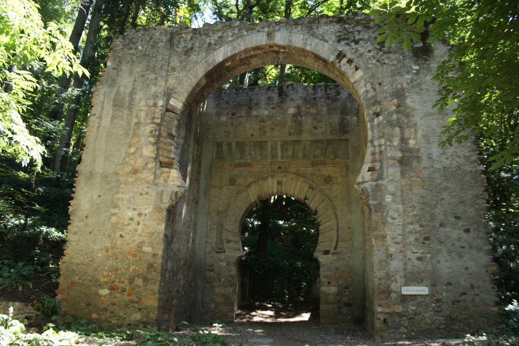 La Alcandora * Granada