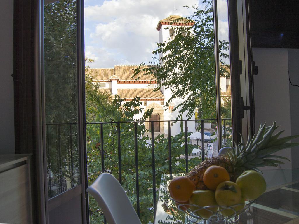 Mirador De La Lona