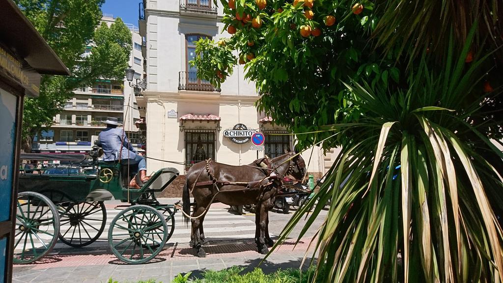 Apartamento La Alcandora
