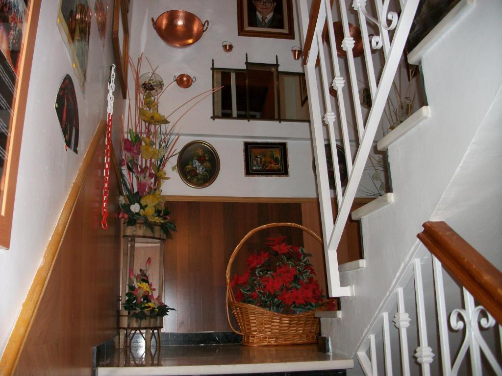 Pension Moni Albayzin Granada