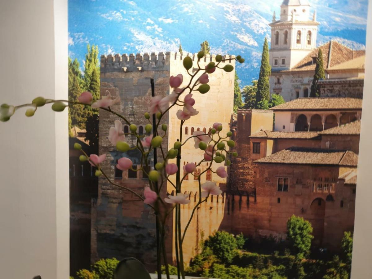 Apartamento Alhondiga 12 Granada