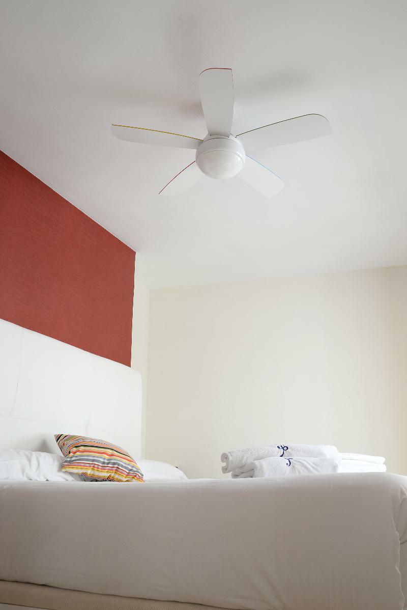 Apartamentos Paloma Dreams 3000