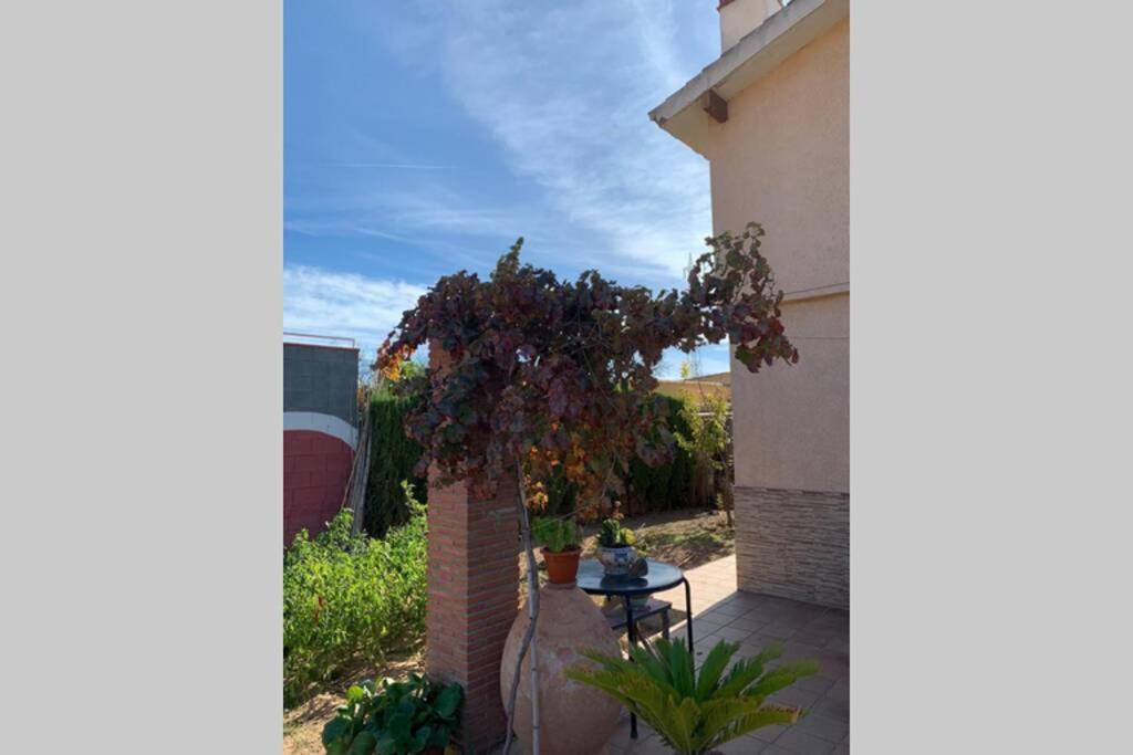 Vakantiehuis Padul Granada