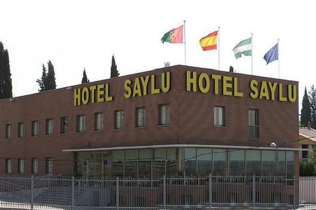 Saylu 3*