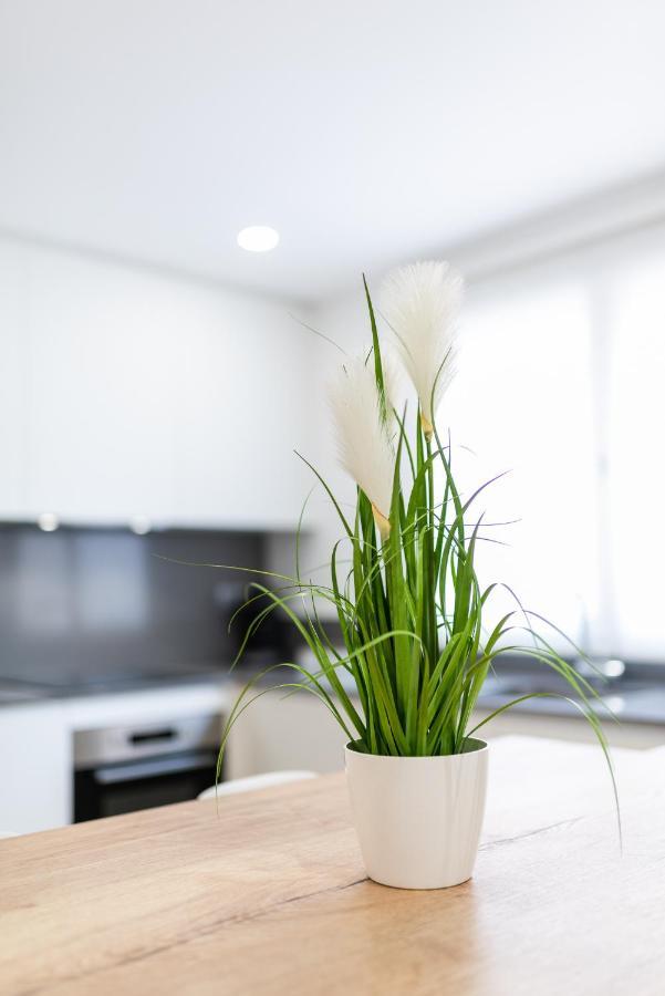 Apartment Trendy And Bright Granada