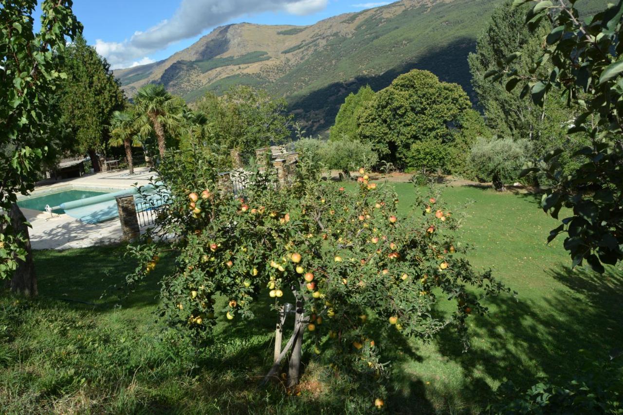 Cortijos Rey Fini Holiday home *