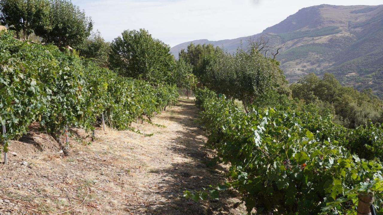 Holiday home Cortijos Rey Fini