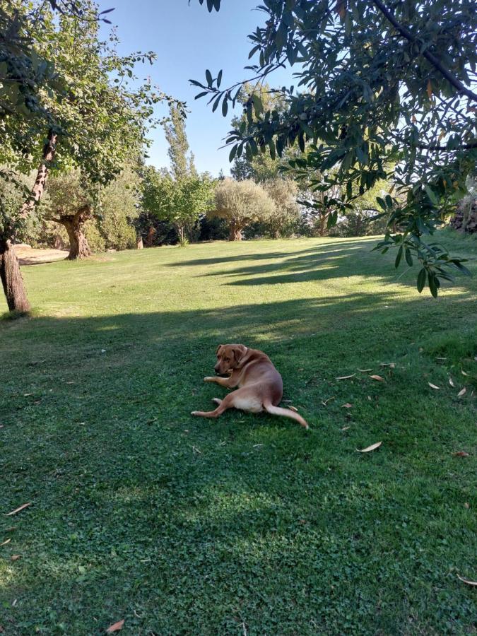 Cortijos Rey Fini Holiday home *