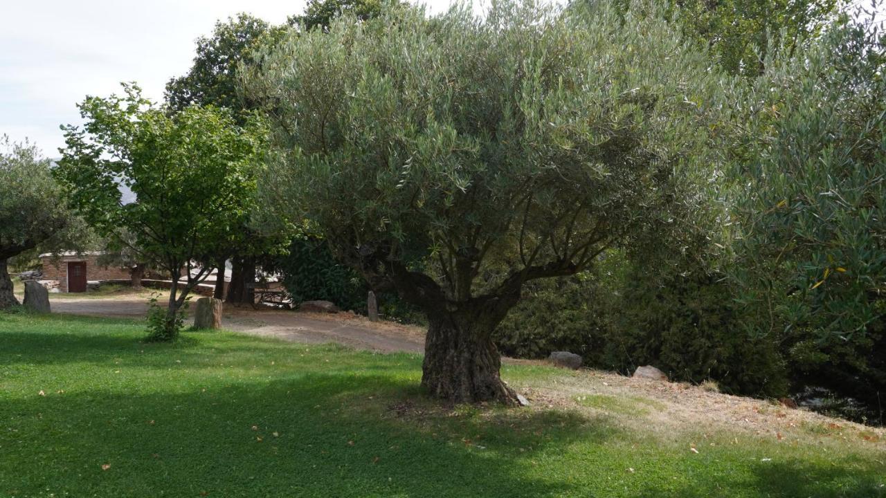 Cortijos Rey Fini Holiday home