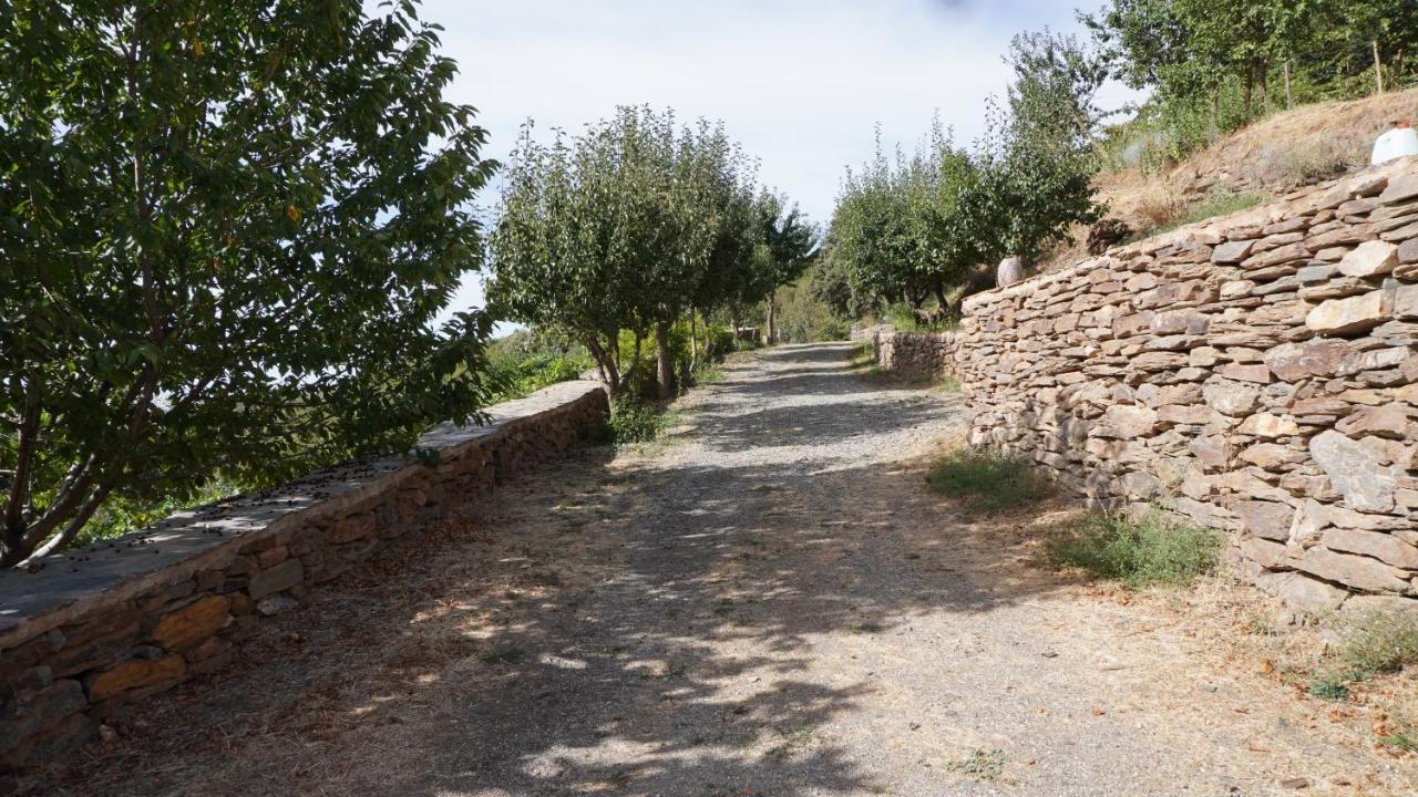 Holiday home Cortijos Rey Fini