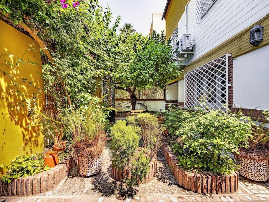 Casa Limonero Con Parking Gratis Junto A Centro Historico Holiday home Granada