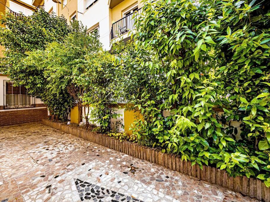 Holiday home Casa Limonero Con Parking Gratis Junto A Centro Historico *