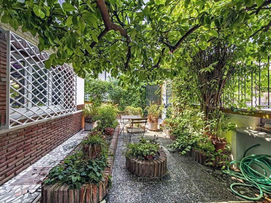 Casa Limonero Con Parking Gratis Junto A Centro Historico Holiday home *