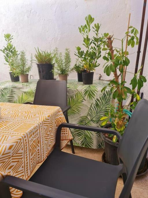 Apartamento Entero + Parking Gratuito Apartment *