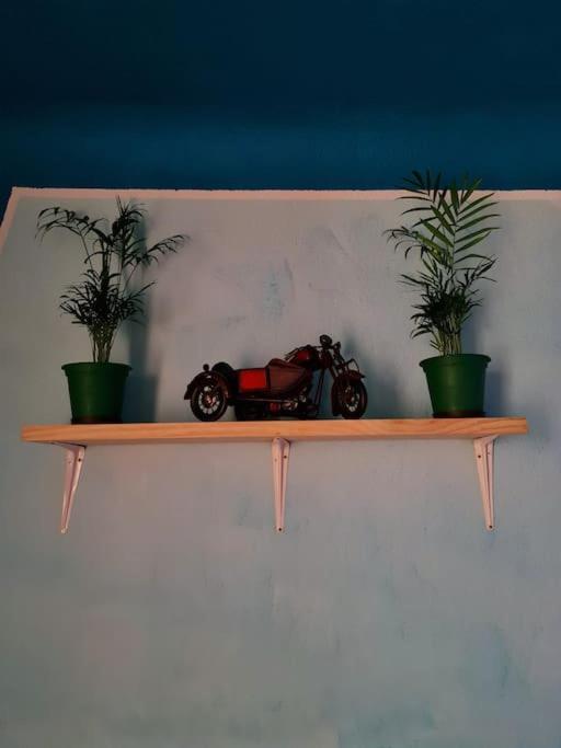 Apartamento Entero + Parking Gratuito * Granada