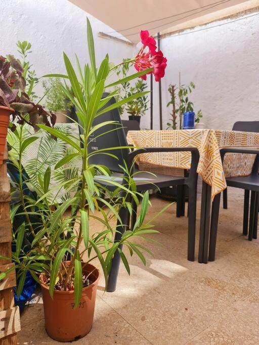 Apartamento Entero + Parking Gratuito Granada