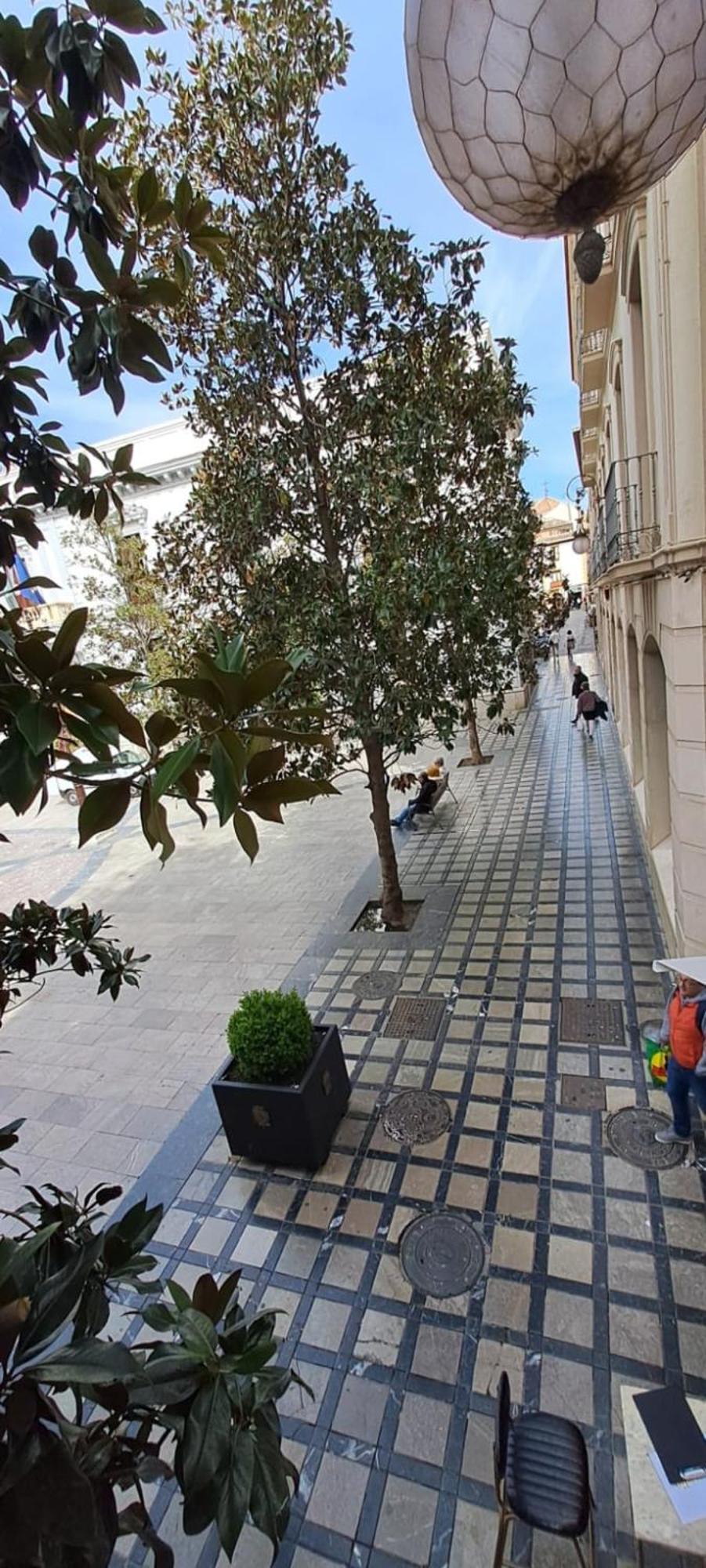Nest Style Granada