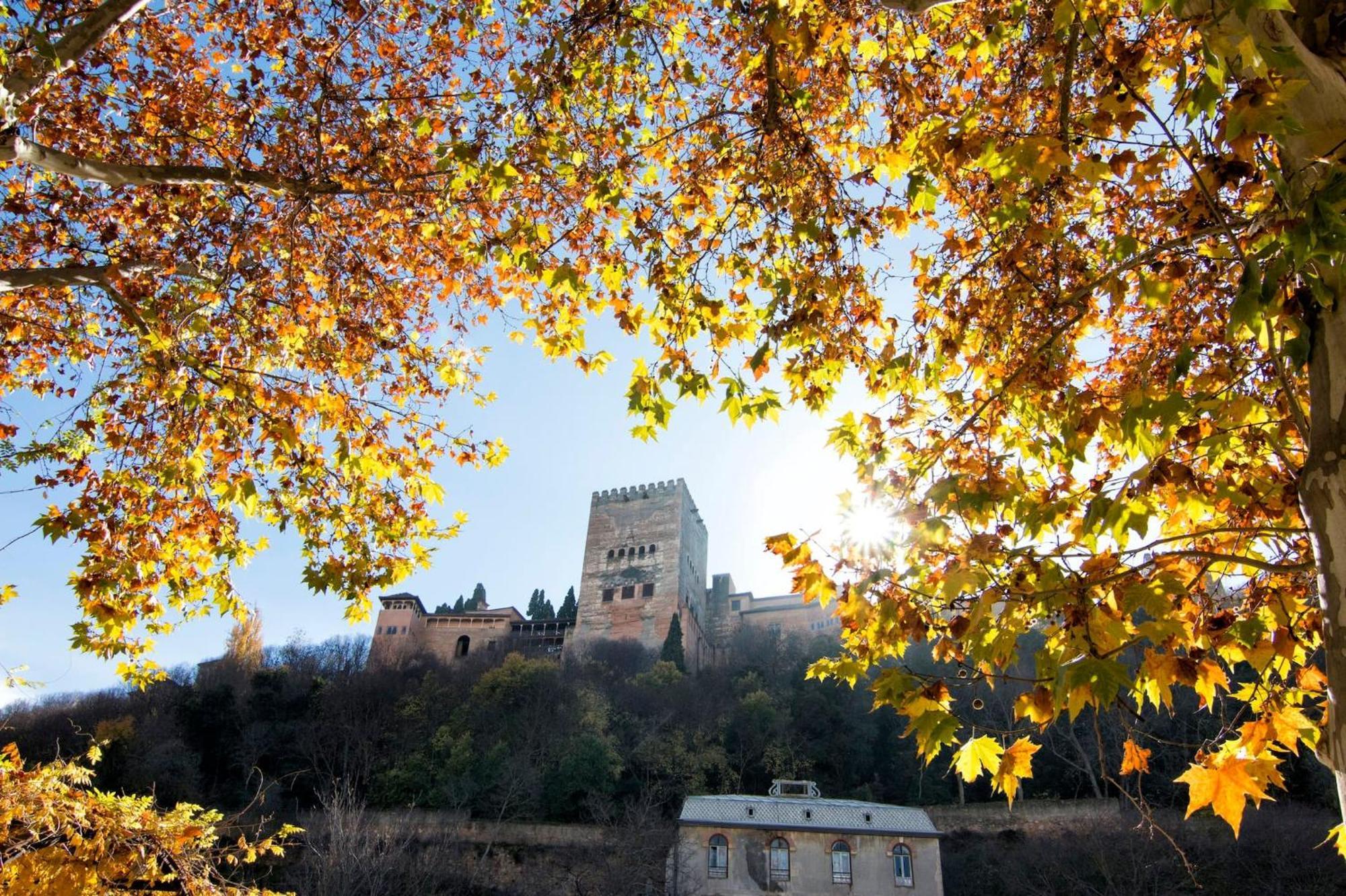 Cmh Alhambra Dreams - Luxury & Romantic Hideaway Apartamento *