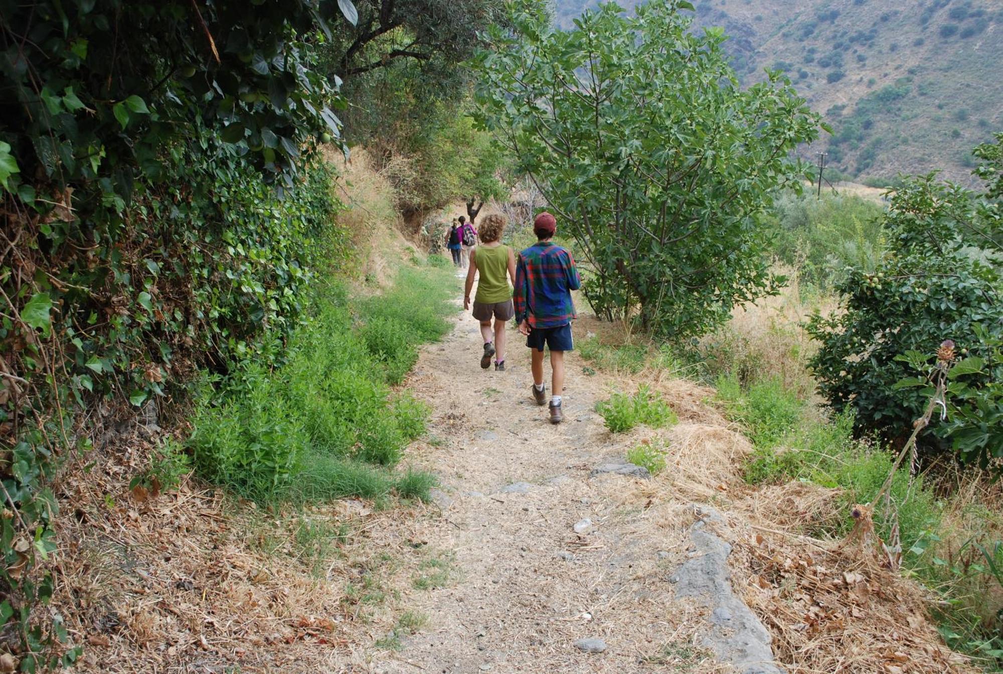 Cortijos Rey Fini Holiday home